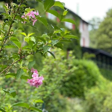 Les Grillons Du Morvan Montsauche-les-Settons Eksteriør billede