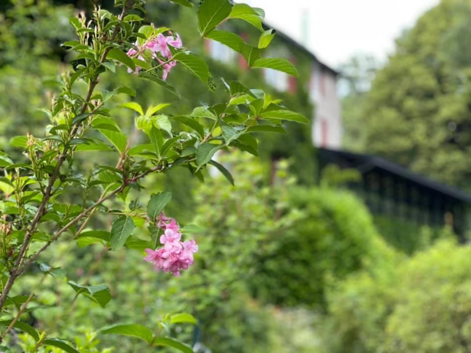 Les Grillons Du Morvan Montsauche-les-Settons Eksteriør billede